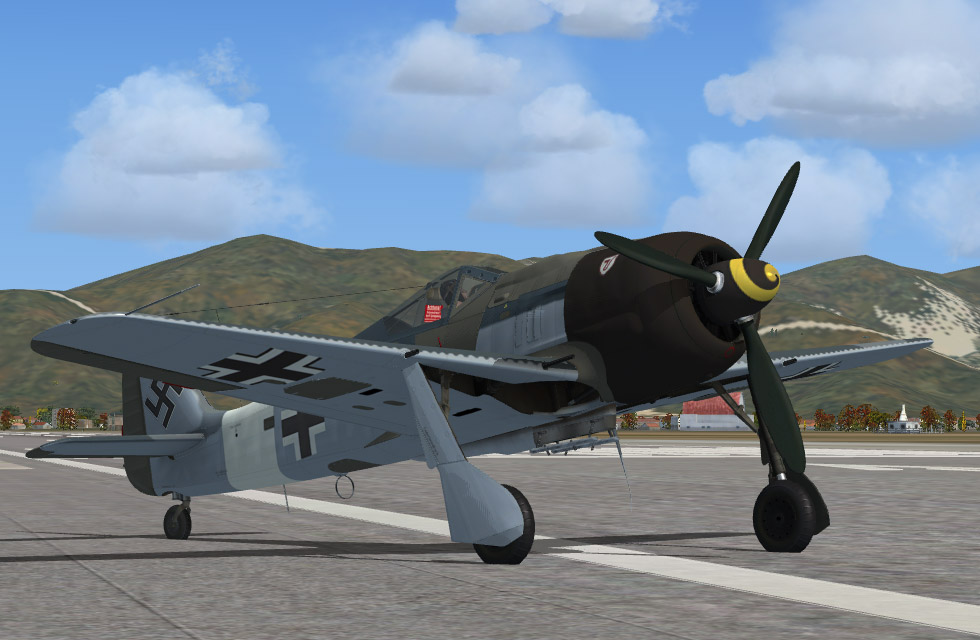 STJ-3.jpg