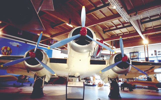 vig5a.jpg