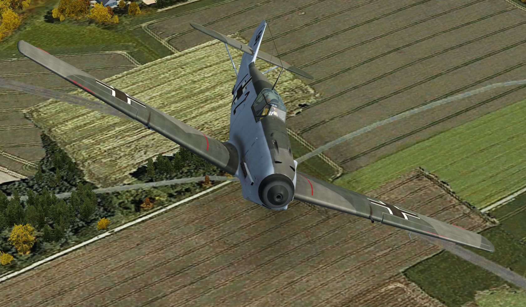 D03.jpg