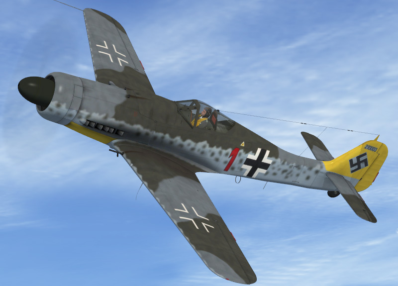 D9-2.jpg